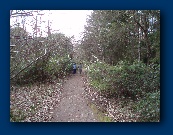 The yompers are charging in - at speed